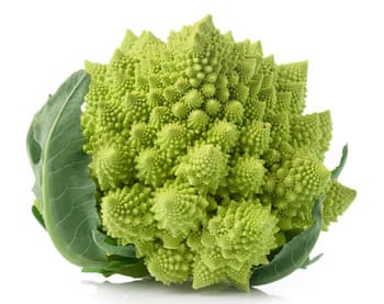 Broccolo Romanesco Kg